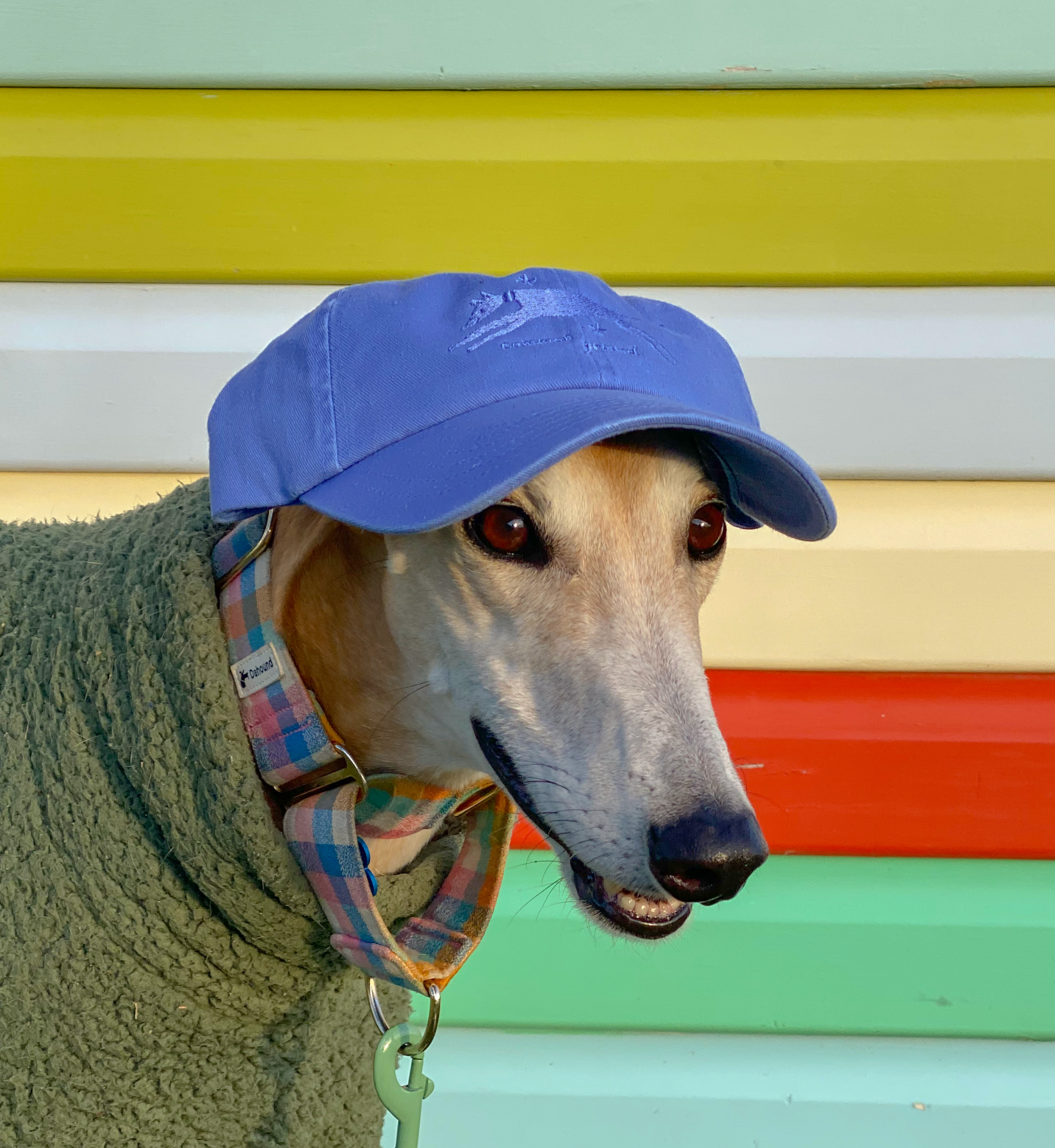 SPUD CAP