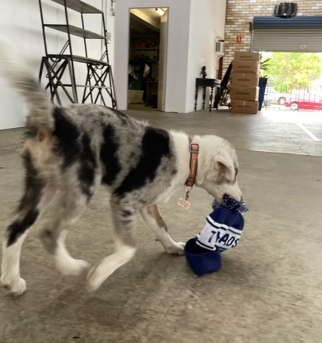 Onshore Threads - Pom Pom Beanie