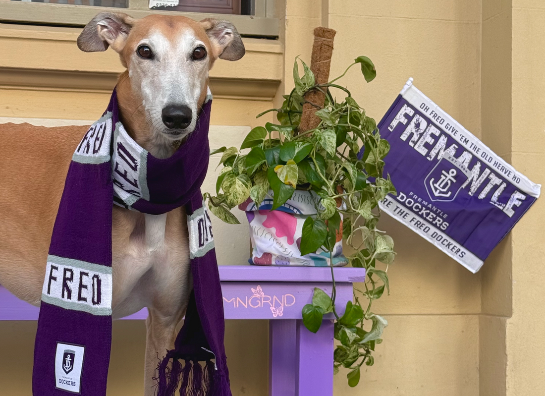 Freo turns purple!