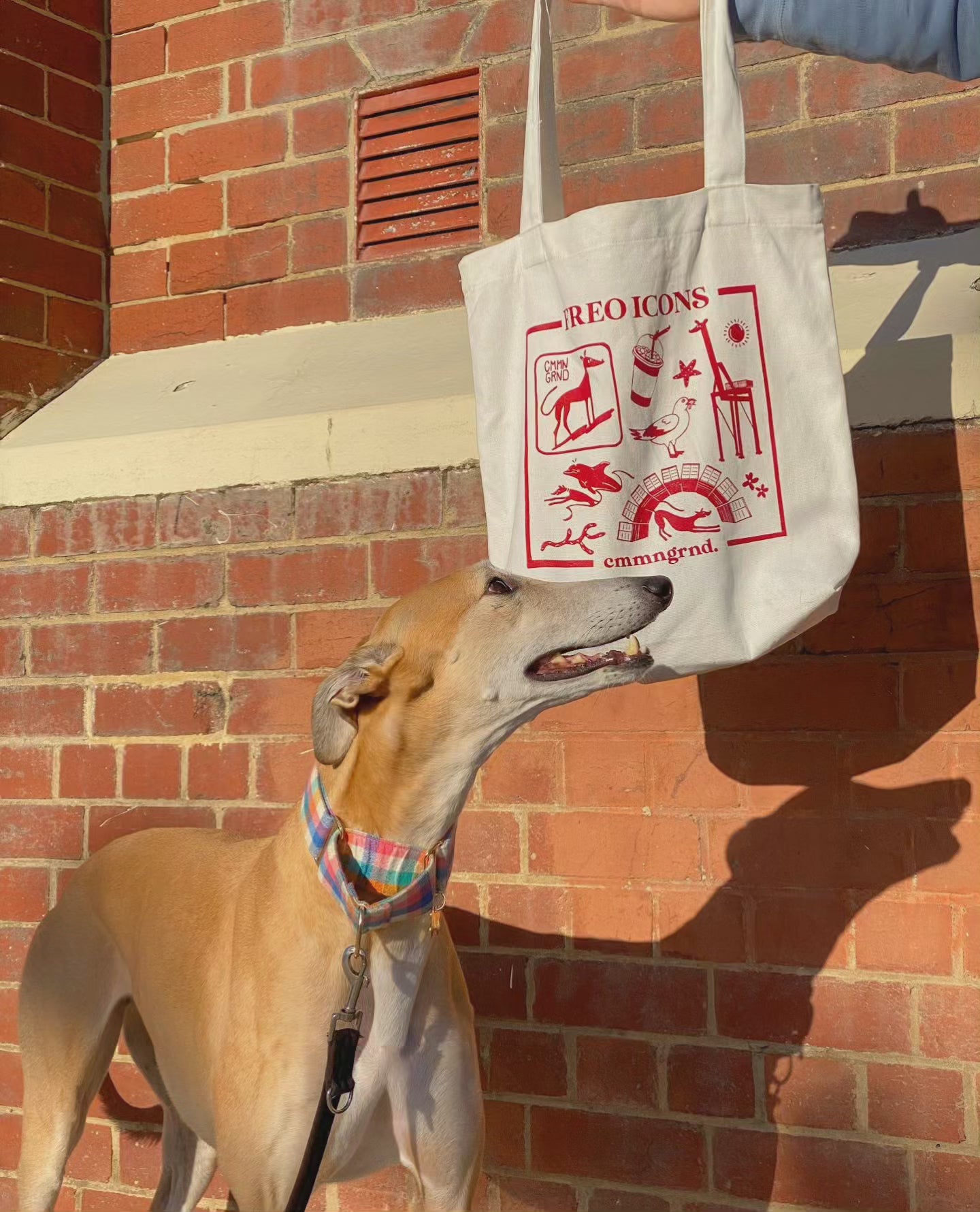 Freo Icons Tote ft. Spud